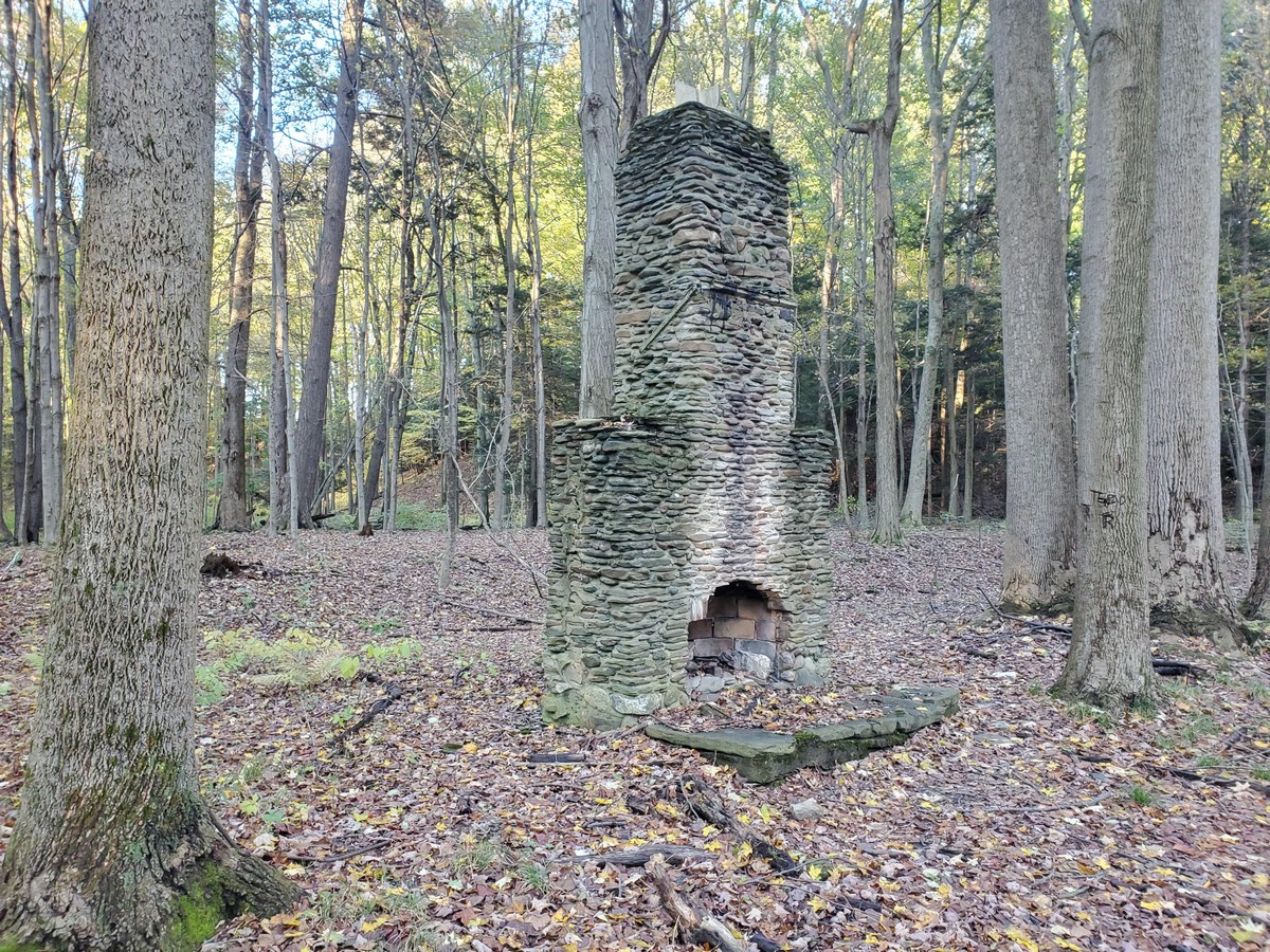 Strange Finds In The Forest (26 pics)