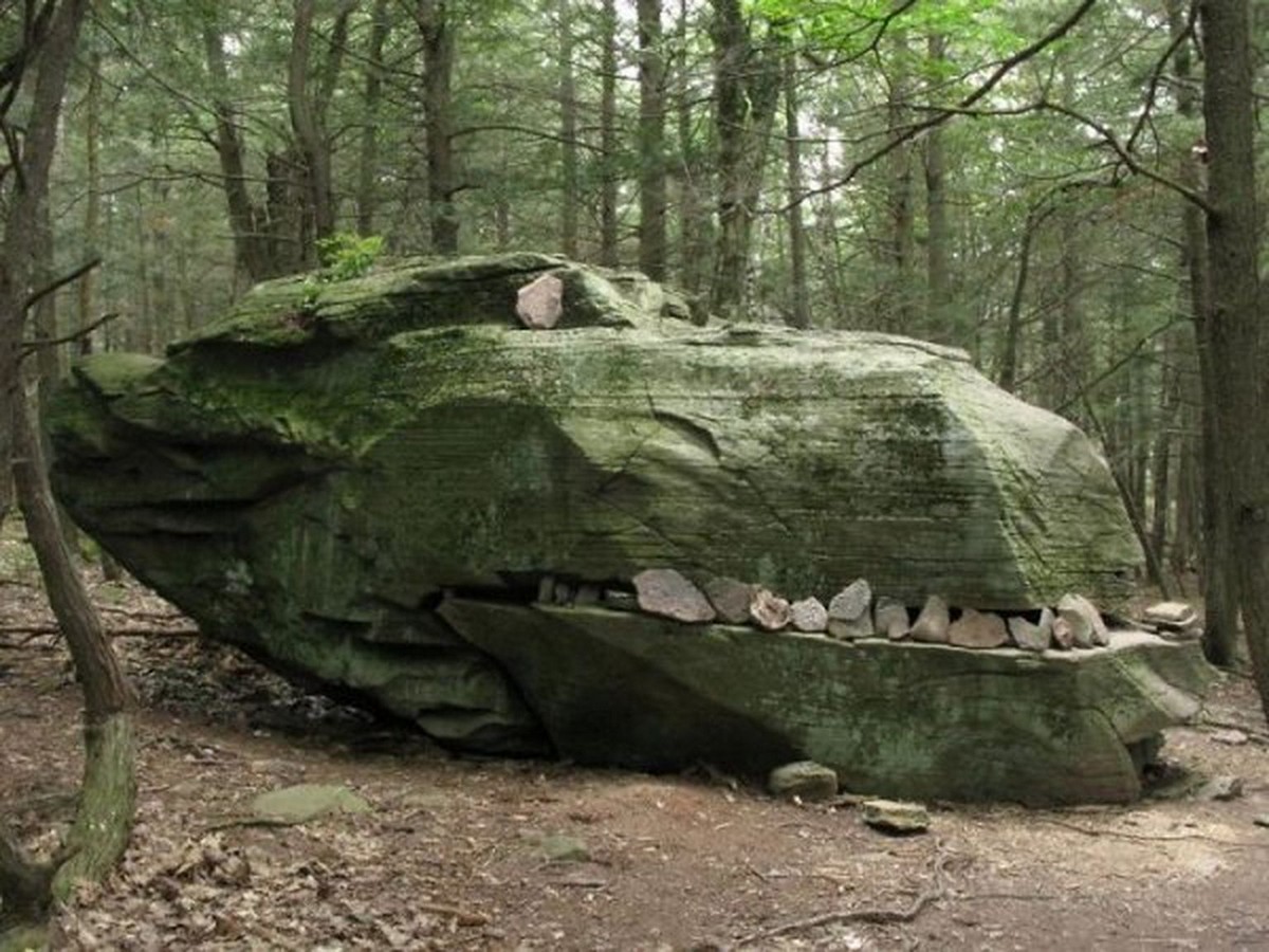 Strange Finds In The Forest (26 pics)