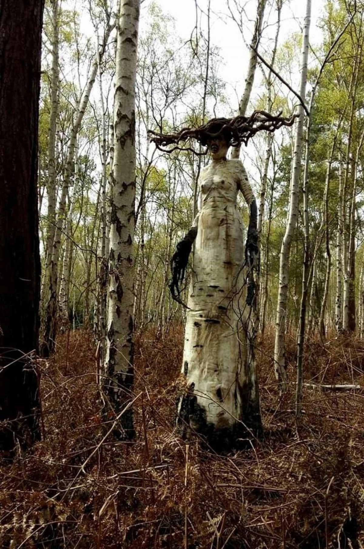 Strange Finds In The Forest (26 pics)