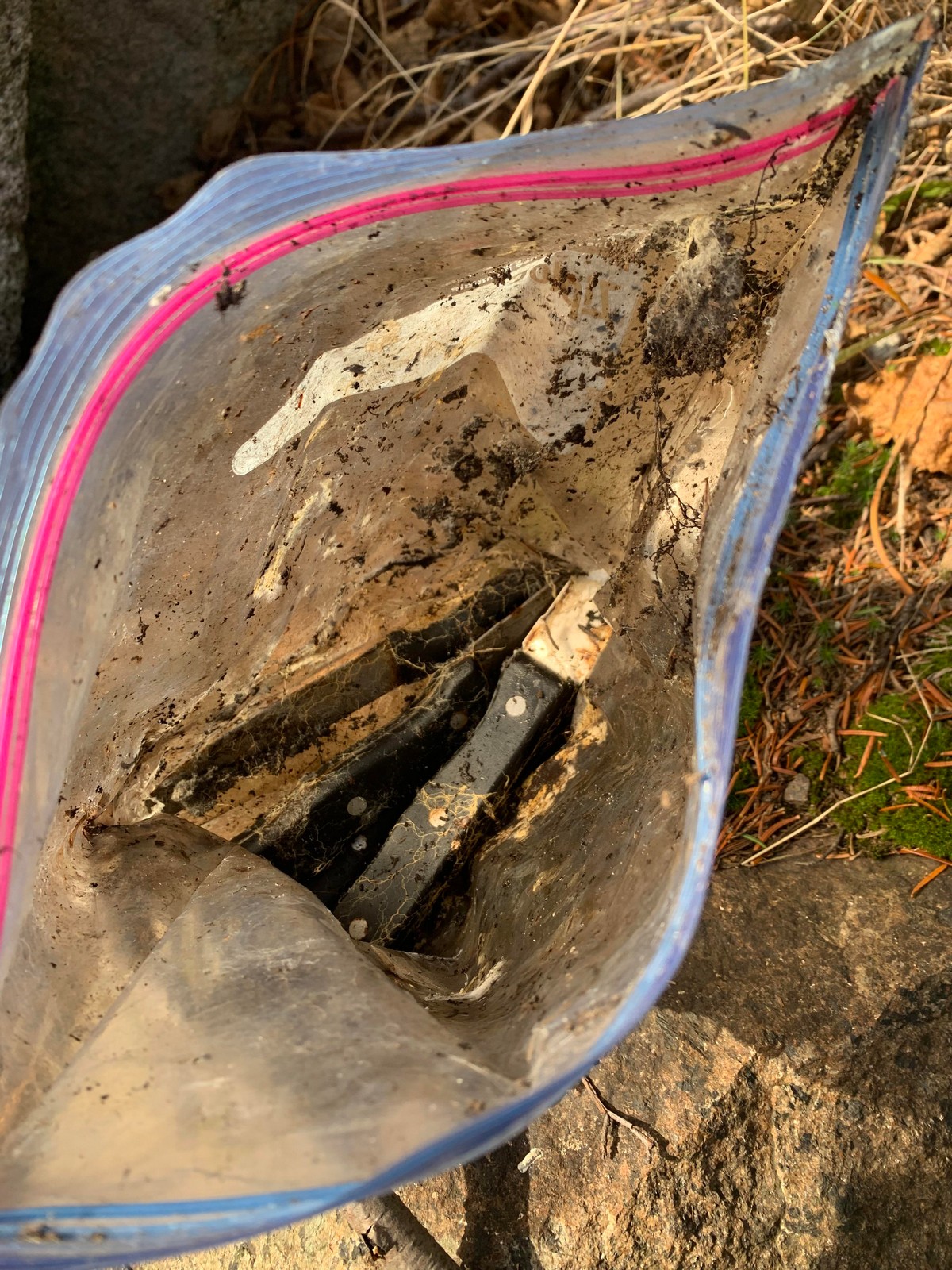 Strange Finds In The Forest (26 pics)