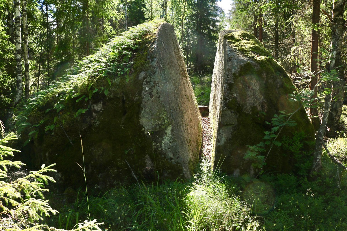 Strange Finds In The Forest (26 pics)