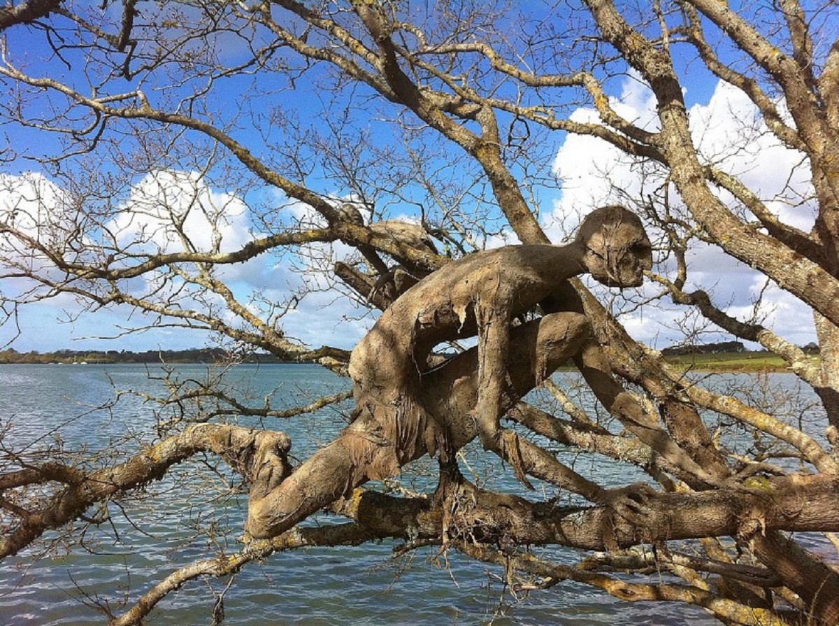 Strange Finds In The Forest (26 pics)