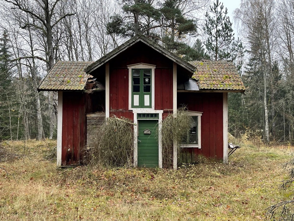 Strange Finds In The Forest (26 pics)