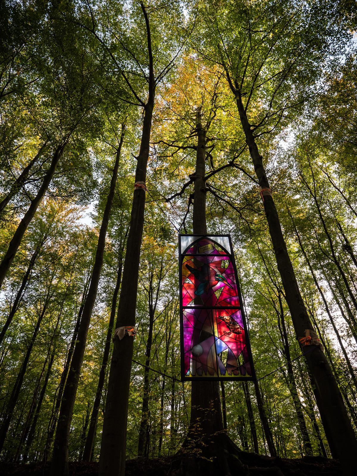 Strange Finds In The Forest (26 pics)
