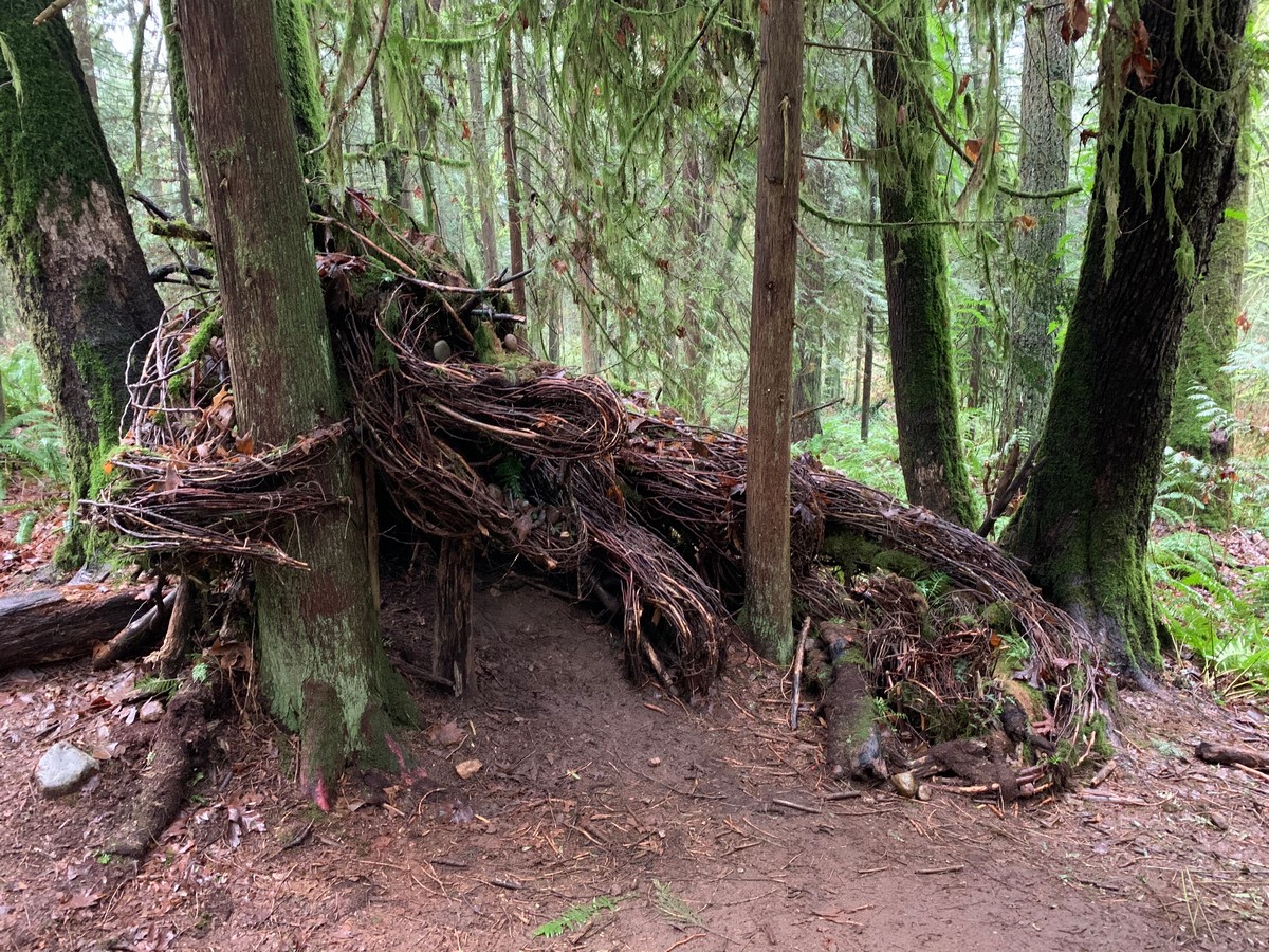 Strange Finds In The Forest (26 pics)
