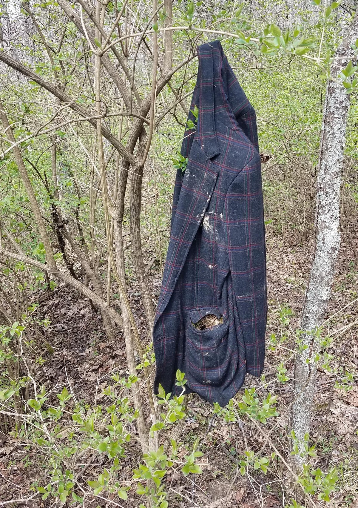 Strange Finds In The Forest (26 pics)