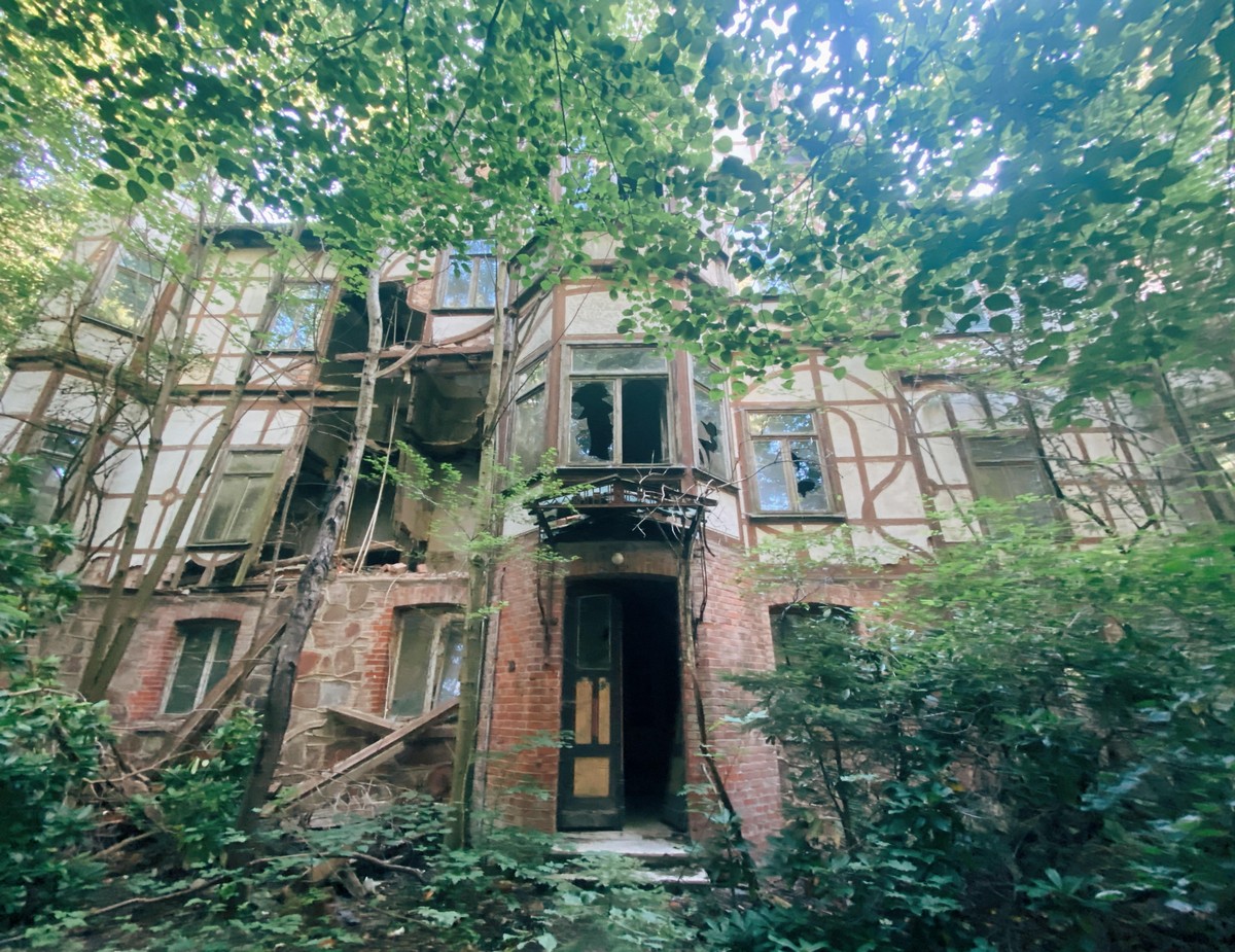 Strange Finds In The Forest (26 pics)