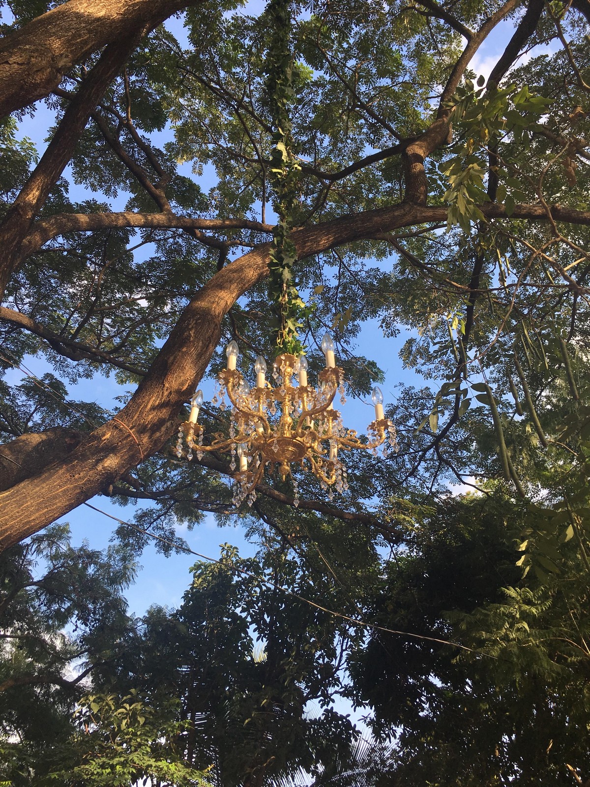 Strange Finds In The Forest (26 pics)