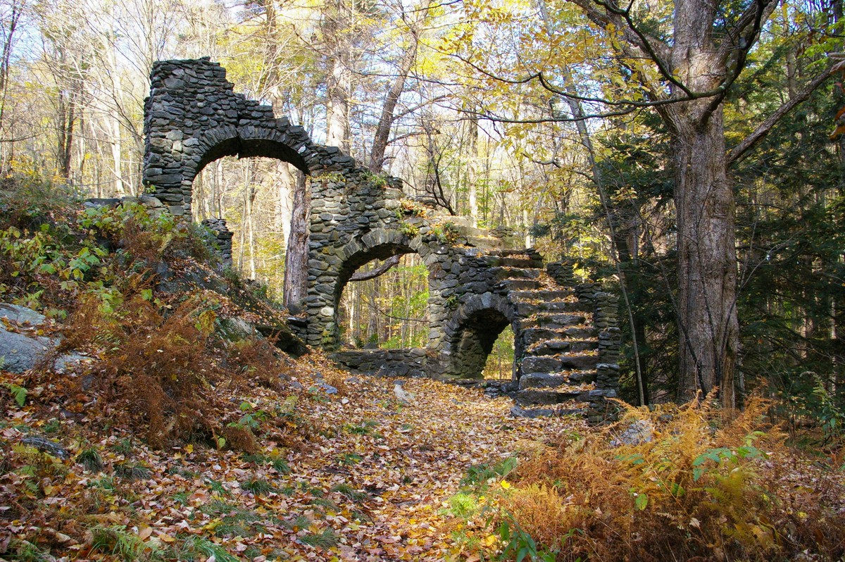 Strange Finds In The Forest (26 pics)
