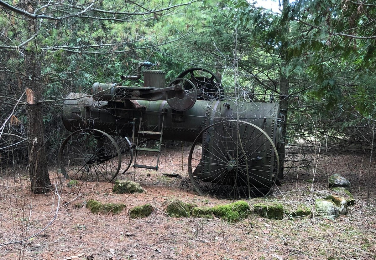 Strange Finds In The Forest (26 pics)