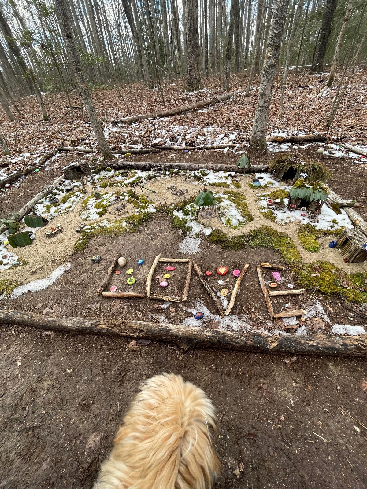 Strange Finds In The Forest (26 pics)