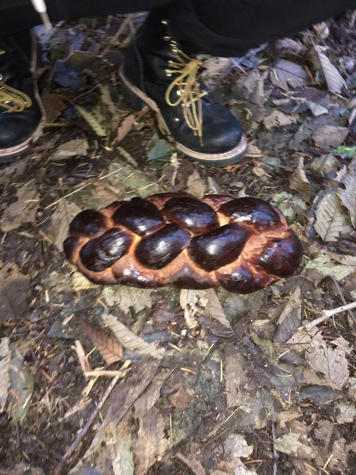 Strange Finds In The Forest (26 pics)