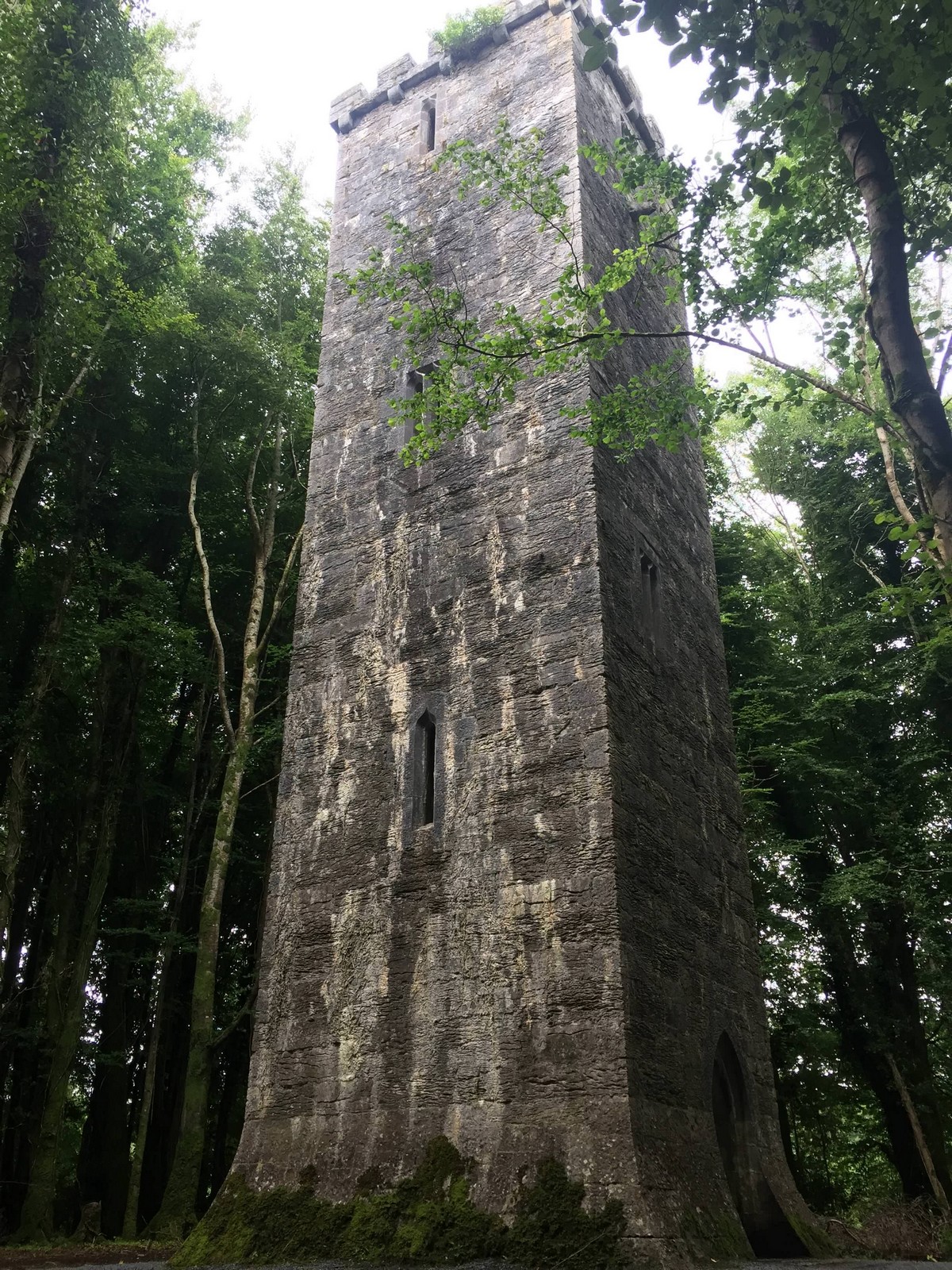 Strange Finds In The Forest (26 pics)