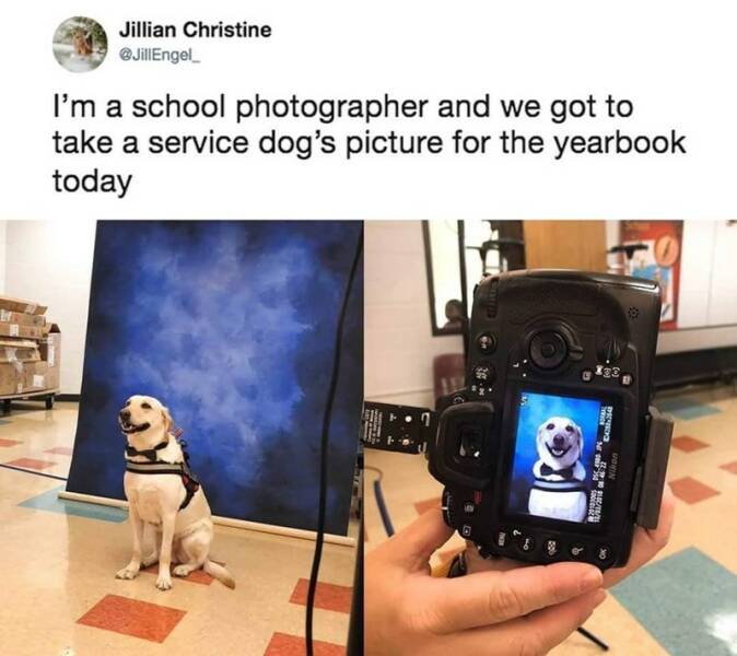 Daily Pictures. Part 2 (61 pics)