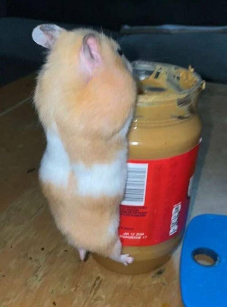 Daily Pictures. Part 2 (61 pics)