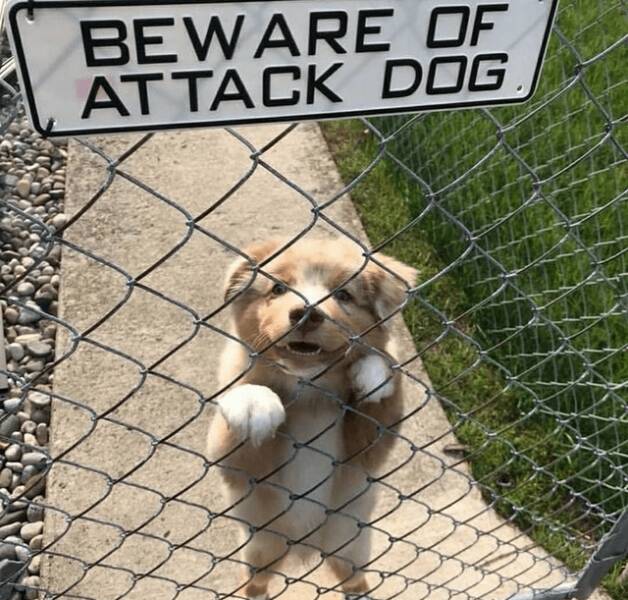 Daily Pictures. Part 2 (61 pics)