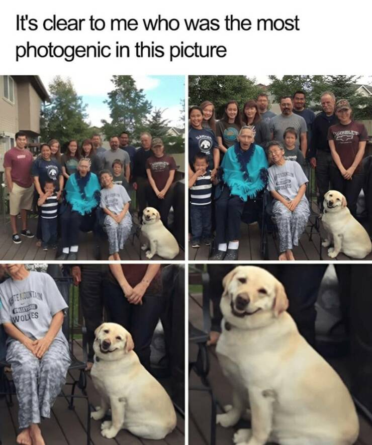 Daily Pictures. Part 2 (61 pics)