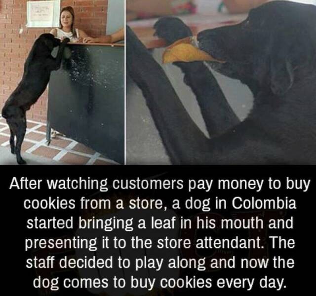 Daily Pictures. Part 2 (61 pics)