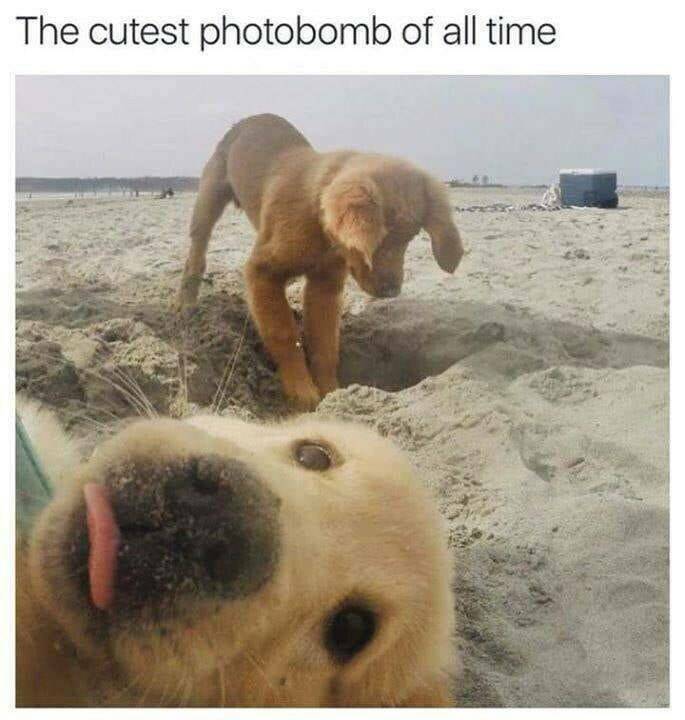 Daily Pictures. Part 2 (61 pics)