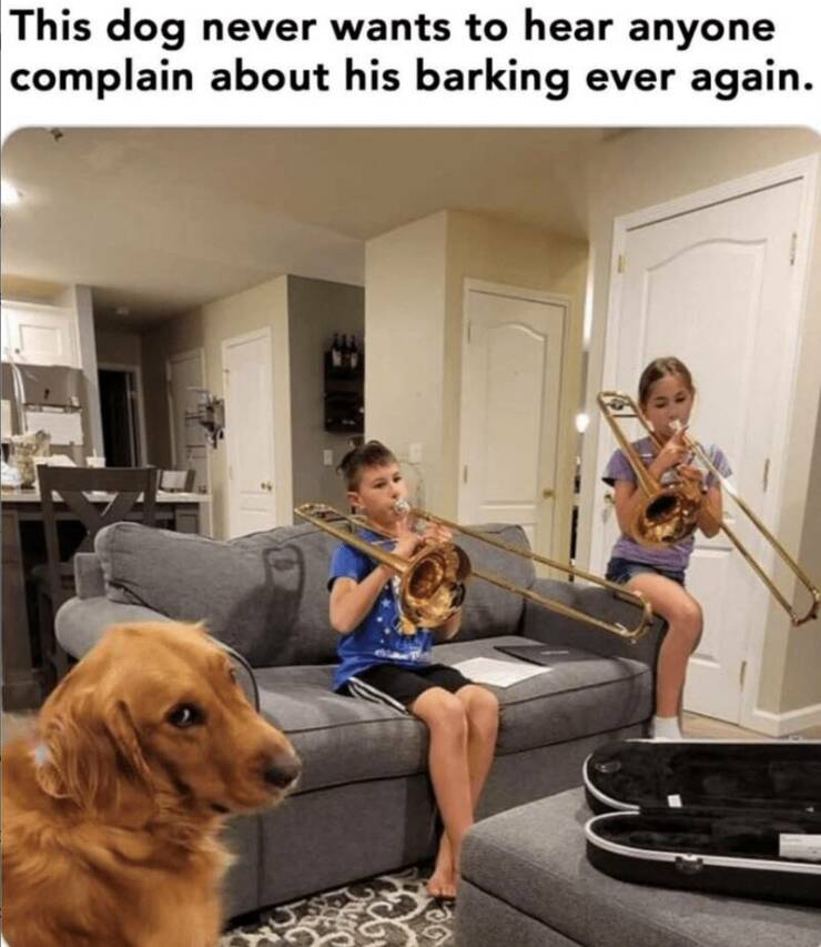 Daily Pictures. Part 2 (61 pics)