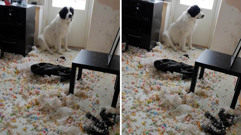 Bad Days Happen (23 pics)