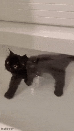 Acid GIFs, May 5 (25 gifs)