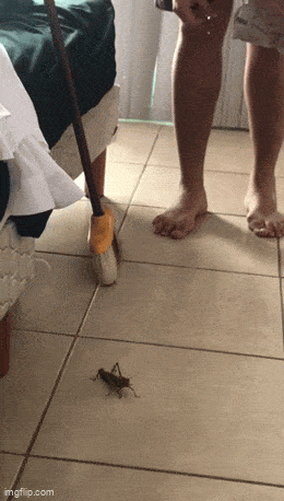 Acid GIFs, May 5 (25 gifs) Acid GIFs, May 5 (25 gifs)