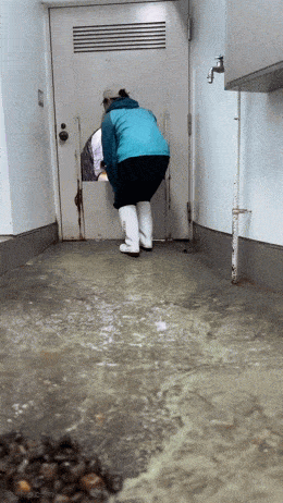 Acid GIFs, May 5 (25 gifs) Acid GIFs, May 5 (25 gifs)