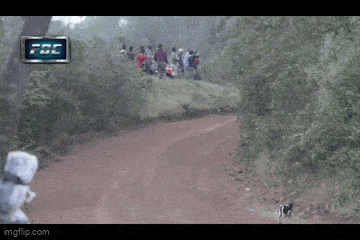 Acid GIFs, May 5 (25 gifs)