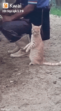 Acid GIFs, May 5 (25 gifs) Acid GIFs, May 5 (25 gifs)