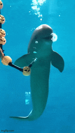 Acid GIFs, May 5 (25 gifs)