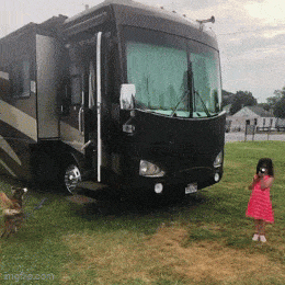 Acid GIFs, May 5 (25 gifs)