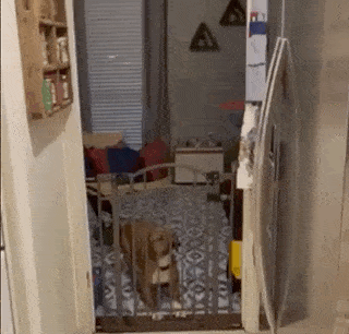 Acid GIFs, May 5 (25 gifs) Acid GIFs, May 5 (25 gifs)
