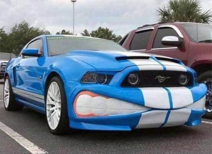 Crazy Vehicles (21 pics)