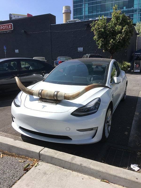 Crazy Vehicles (21 pics)