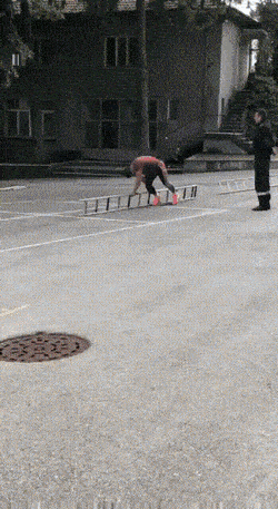 Acid GIFs, May 6 (25 gifs) Acid GIFs, May 6 (25 gifs)