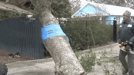 Acid GIFs, May 6 (25 gifs) Acid GIFs, May 6 (25 gifs)