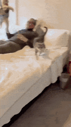 Acid GIFs, May 6 (25 gifs)
