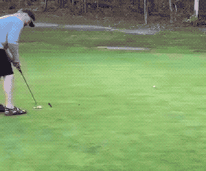 Acid GIFs, May 6 (25 gifs) Acid GIFs, May 6 (25 gifs)