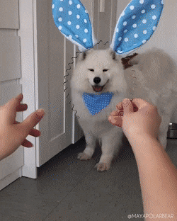 Acid GIFs, May 6 (25 gifs) Acid GIFs, May 6 (25 gifs)