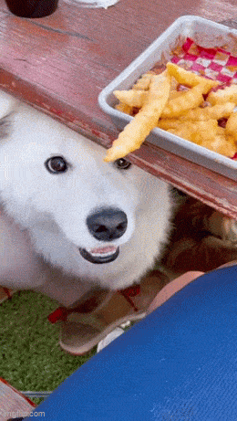 Acid GIFs, May 6 (25 gifs) Acid GIFs, May 6 (25 gifs)