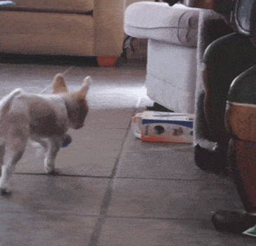 Acid GIFs, May 6 (25 gifs) Acid GIFs, May 6 (25 gifs)
