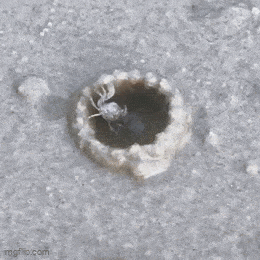 Acid GIFs, May 6 (25 gifs) Acid GIFs, May 6 (25 gifs)