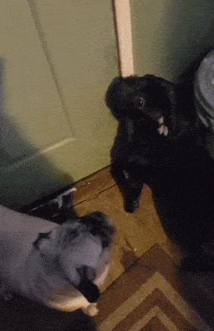 Acid GIFs, May 6 (25 gifs) Acid GIFs, May 6 (25 gifs)