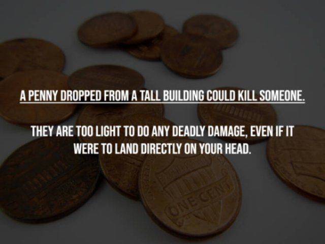 Myths That Many People Believe (17 pics)