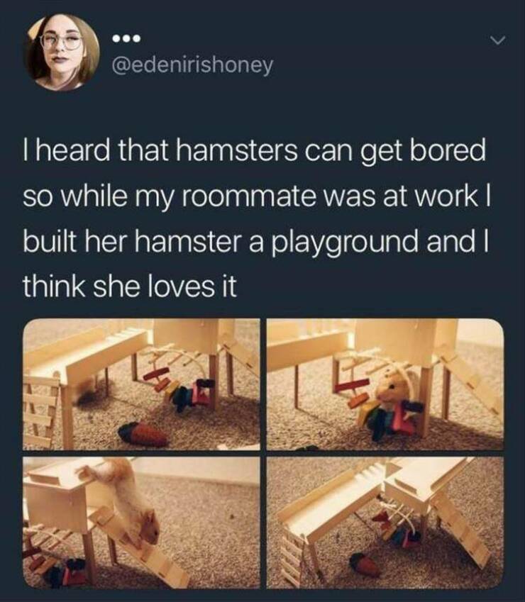 Daily Pictures. Part 2 (67 pics)