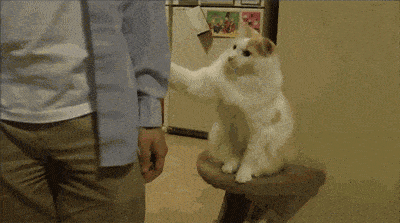 Acid GIFs, May 7 (25 gifs) Acid GIFs, May 7 (25 gifs)