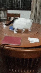 Acid GIFs, May 7 (25 gifs) Acid GIFs, May 7 (25 gifs)