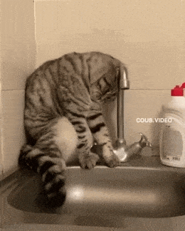 Acid GIFs, May 7 (25 gifs) Acid GIFs, May 7 (25 gifs)