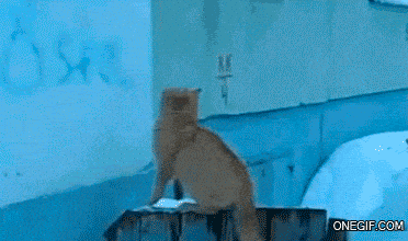 Acid GIFs, May 7 (25 gifs) Acid GIFs, May 7 (25 gifs)